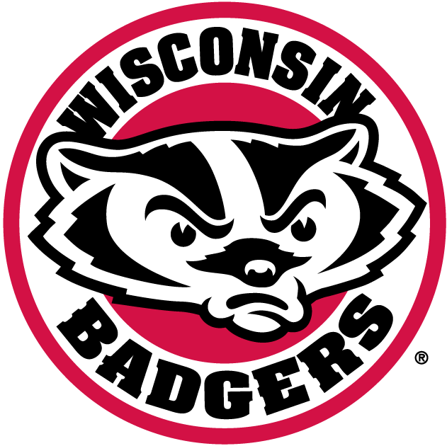 Wisconsin Badgers 2002-Pres Alternate Logo iron on paper